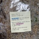 태극수산2