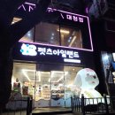 펫츠아일랜드 | 김해 장유24시 무인 애견용품점 '펫츠아일랜드 대청점' 방문 후기 (노견 간식 추천!)