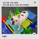 독핏 - 강남구 삼성로133길 7 | 독핏