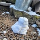 마마롱 제주 <b>마마롱</b> 딸기 케이크 포장 후기｜블루리본 받은 디저트 카페