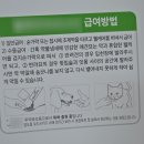 용산동물병원 이미지