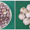 주아농장 이미지