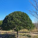 흥해시장 이미지