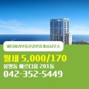 바다하리부동산공인중개사사무소 | 봉명동 바다하리부동산공인중개사사무소 추천매물 베르디움 201동 월세 5,000/170