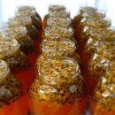 루디아패션 이미지