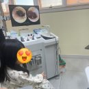 성모힐소아청소년과의원 네이버블로그