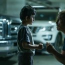 도그프리덤 이미지