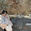 산정수로생고기집 네이버블로그
