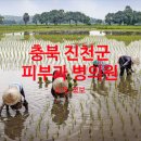 성심흉부외과의원 이미지