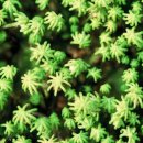 대영수지 이미지