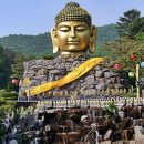 와우정사 이미지