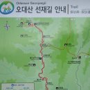 10월15일(토)오대산 & 천년의 숲 힐링 단풍 트래킹 코스 선재길 이미지