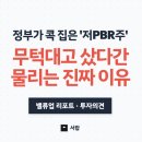 파마텍스코리아홀딩스(주) | 정부가 콕 집은 '저PBR주', 무턱대고 샀다간 물리는 이유