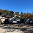 양촌애견 이미지