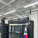 [포스짐] 서울 통합 무에타이 승단 심사 후기 FORCE GYM(1단, 2단)