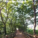 치악산펜션 이미지