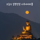 누구든지 염불만 하면 모두 왕생합니다 오늘 하루도 나무아미타불 🙏🙏🙏 이미지