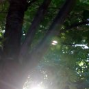 북부순환13번길 이미지