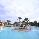 시온팜스 이미지