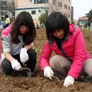 참다운농장 이미지