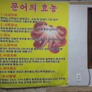 스쿠버다이버의집 이미지