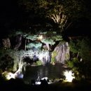 잉꼬세탁 이미지