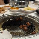 본구이 | 내돈내산🐷 양지 본구이캠프 후기 | 재오픈하자마자 달려간 돼지갈비 맛집