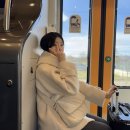 이탈리아 여행-피렌체, 아시시, 시에나