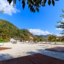 백운일출캠핑장 이미지