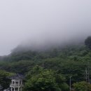 완월동247 이미지