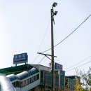 응봉개나리어린이공원 이미지