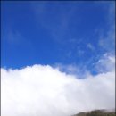 뽈레뽈레 이미지