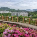 바라산자연휴양림 이미지