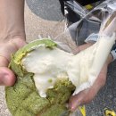 달달한오븐 | 구미/산업단지-블루리본빵집👍🏻동네주민 빵집추천 “달달한 오븐” 종류 가격 후기