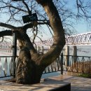 삼랑진팽나무펜션 이미지