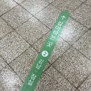 시골쥐 한양까지 가서 앞트임 복원하고 밑트임 하고 오다!!