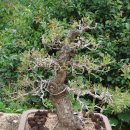 둔기마을 이미지