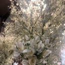 대전 프릴리언트 부케 답례품 내돈내산 구입 후기 (레진아트, 반지보관함, 부케순이 선물)