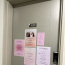더바비 | 서울 마곡 퍼스널컬러 추천 더바비컬러메이크업 미지근톤 진단 후기