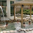 원스파인 이미지