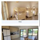 지수남명진취가 이미지