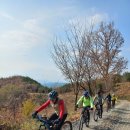 12/7동행mtb(칠곡임도) 이미지