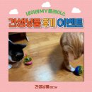 견생냥품무인24시서울회기점