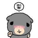 또와요분식 - 제주시 월대4길 1 | 또와요분식