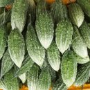 여주-0191 이미지