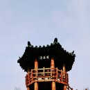 대청호반 이미지