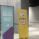 쓰리엘헤어 | 2025 냥냥펀치캣쇼 코엑스 마곡 후기 잘산템 추천