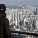 상업용 49 조선비즈