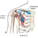 후인 티스토리