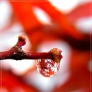 (주)이웃사람들 Daum카페